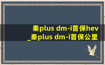 秦plus dm-i首保hev_秦plus dm-i首保公里数